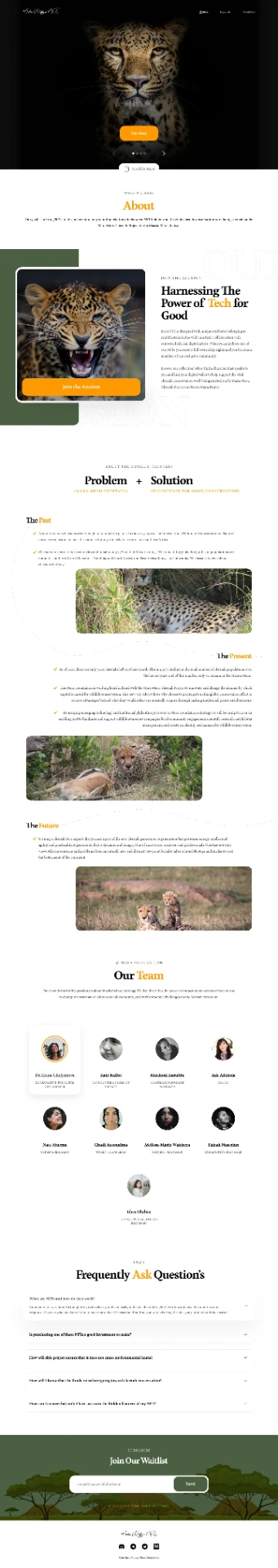 Mara Waffle NFTs Website UI/UX design screen 2